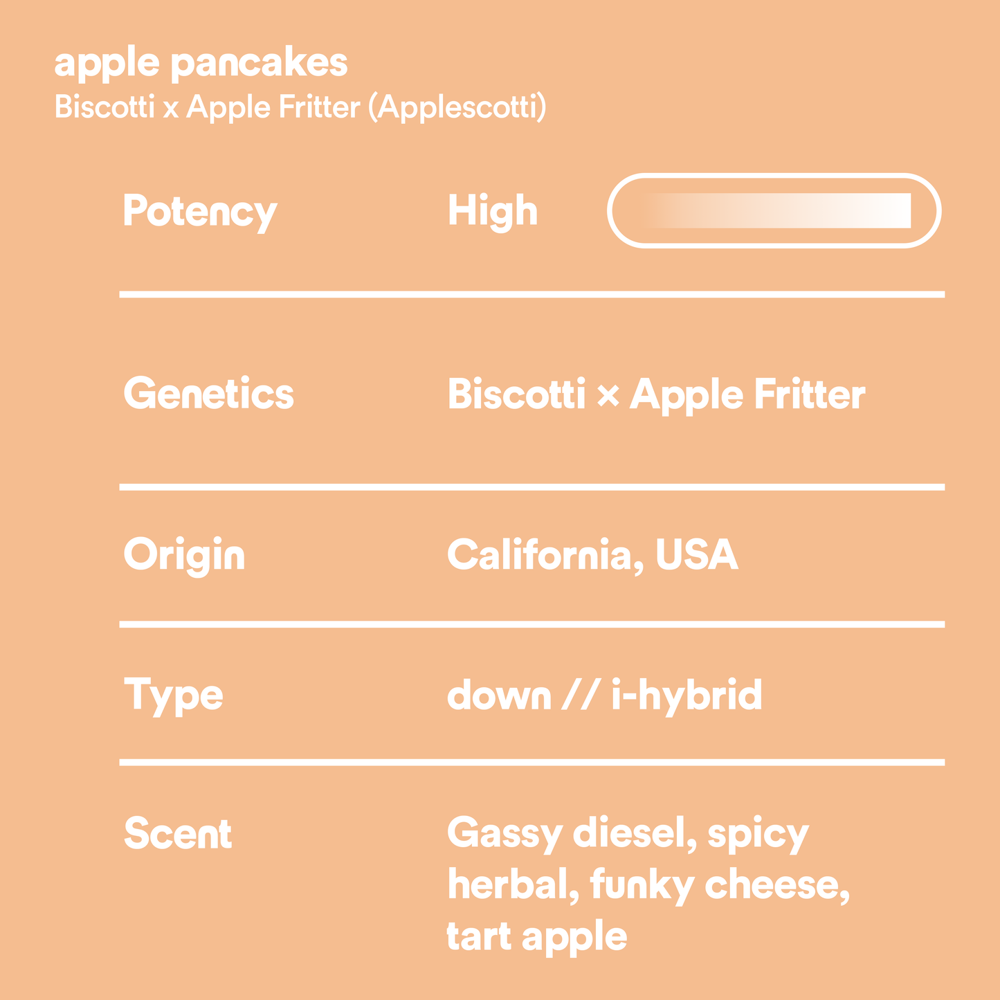 apple pancakes // 3.5g // THCa flower