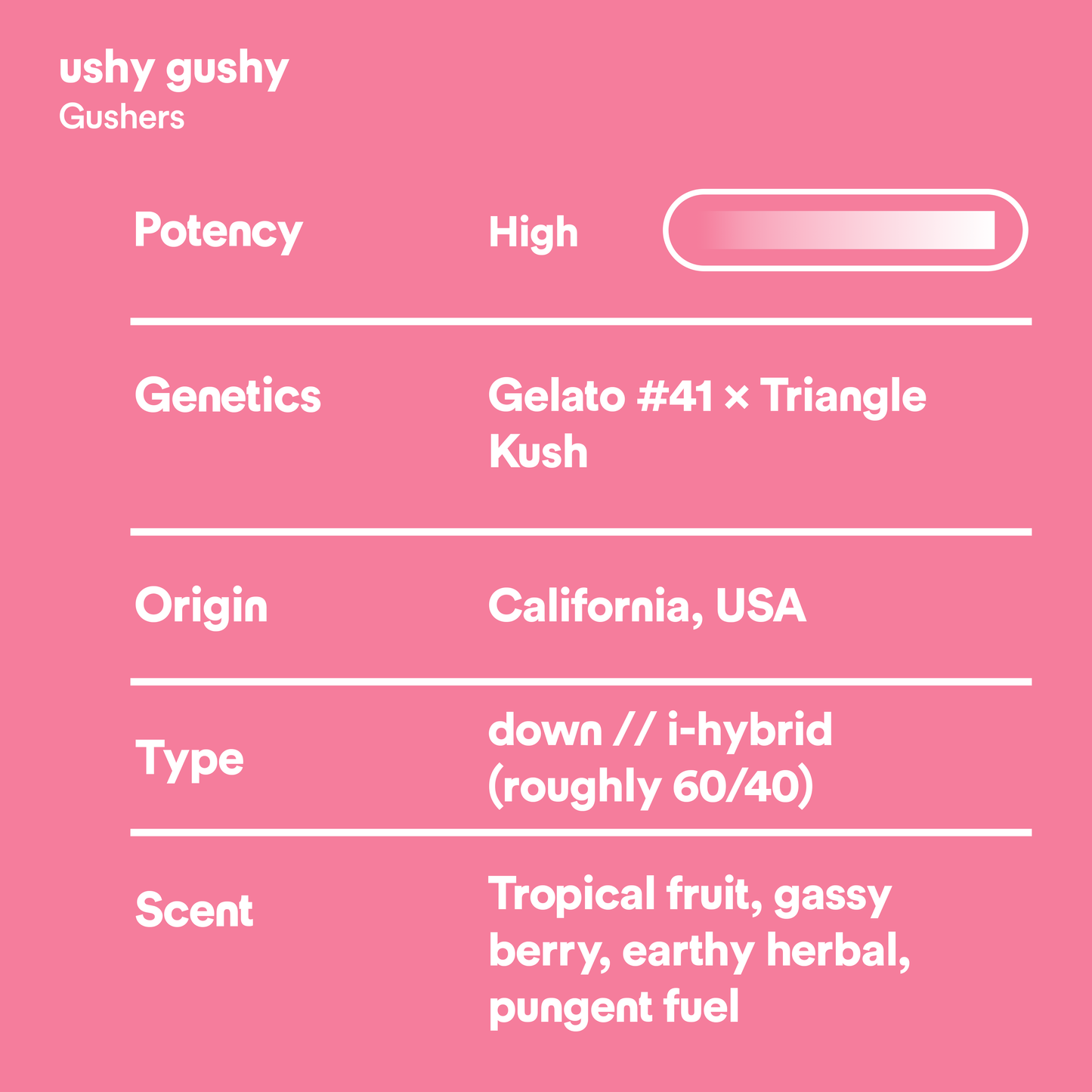 ushy gushy // 3.5g // THCa flower