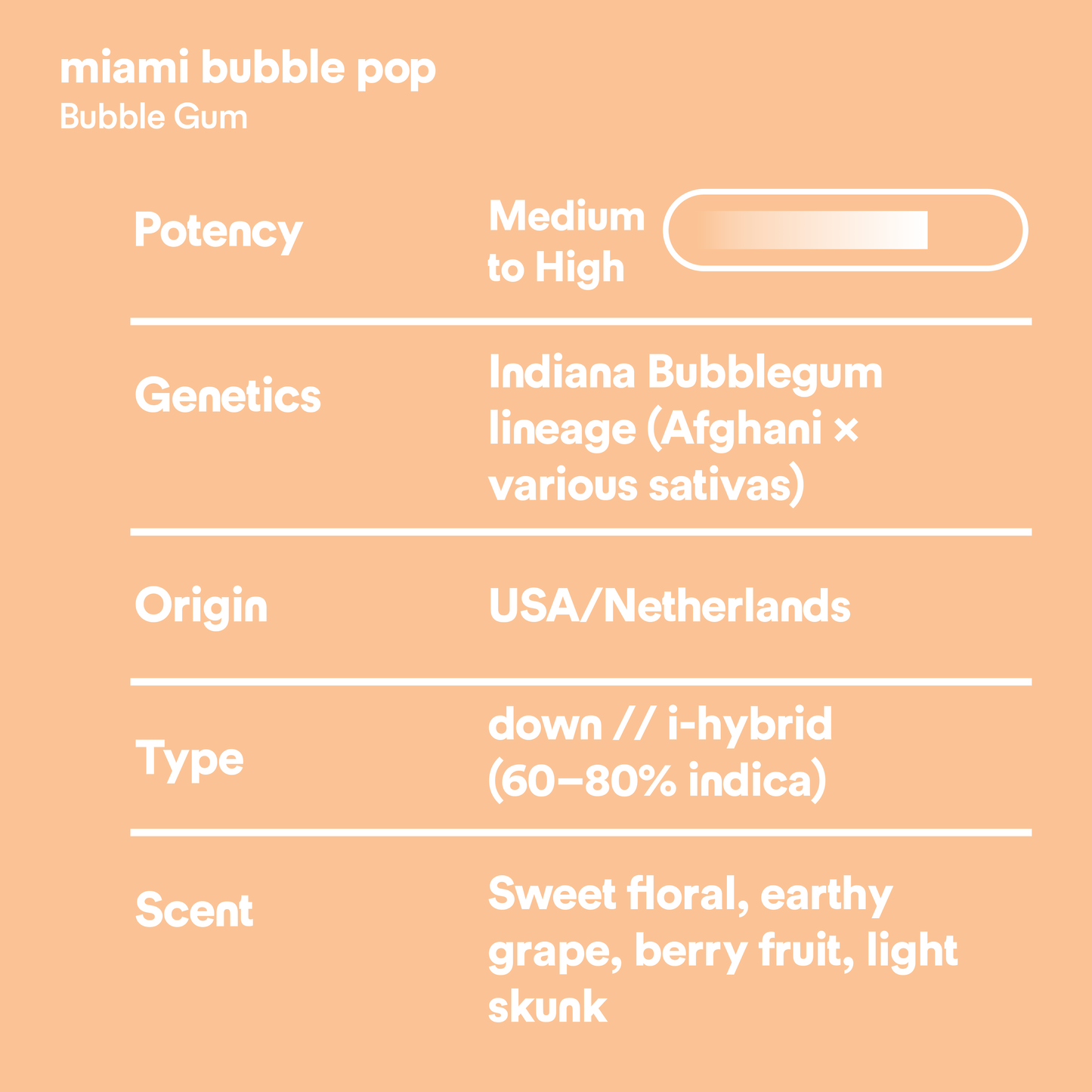 miami bubble pop // 3.5g // THCa flower